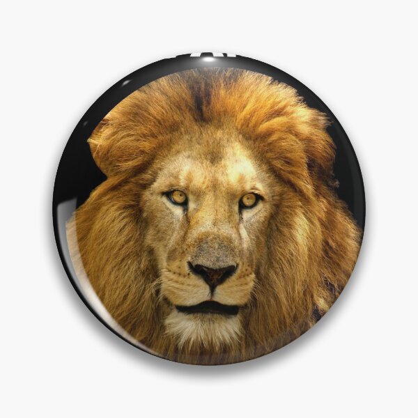 Item preview, If you kick me when I am down you better pray that I do not get up - Lion designed and sold by mprakash100.