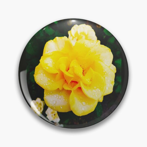 Item preview, Copy of Tender yellow rose after the rain covered with drops  designed and sold by helenkaiy.