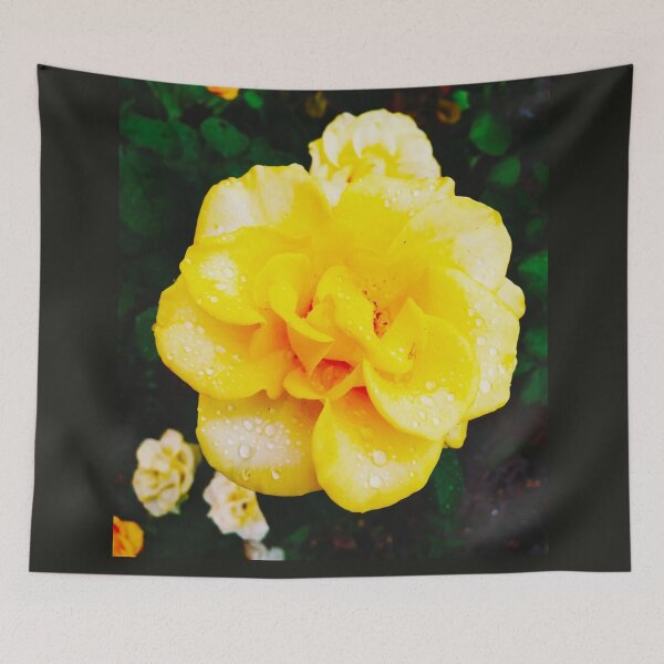 Item preview, Copy of Tender yellow rose after the rain covered with drops  designed and sold by helenkaiy.