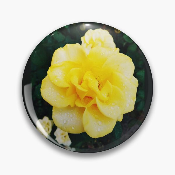 Item preview, Tender yellow rose after the rain covered with drops  designed and sold by helenkaiy.