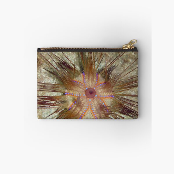 Item preview, Blue-spotted Sea Urchin designed and sold by Mark Rosenstein.