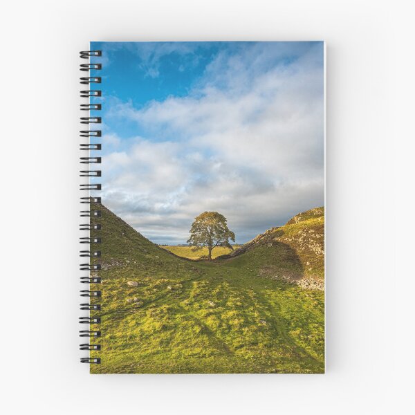 Item preview, Sycamore Gap designed and sold by Mark Hume.