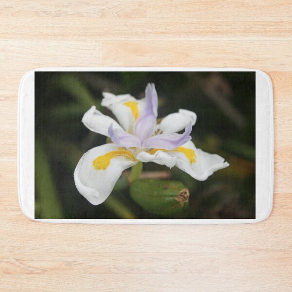 Item preview, White Algerian Iris designed and sold by Varshinee.