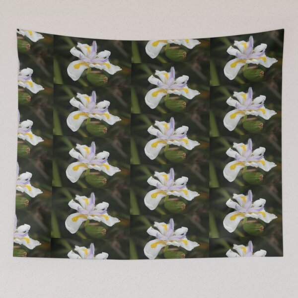 Item preview, White Algerian Iris designed and sold by Varshinee.
