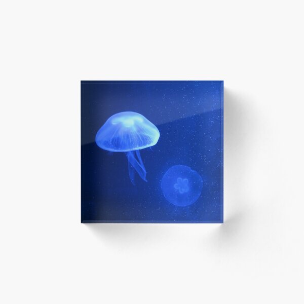 Blue Jellyfish Acrylic Block