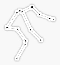 Constellation | Aquarius Sticker