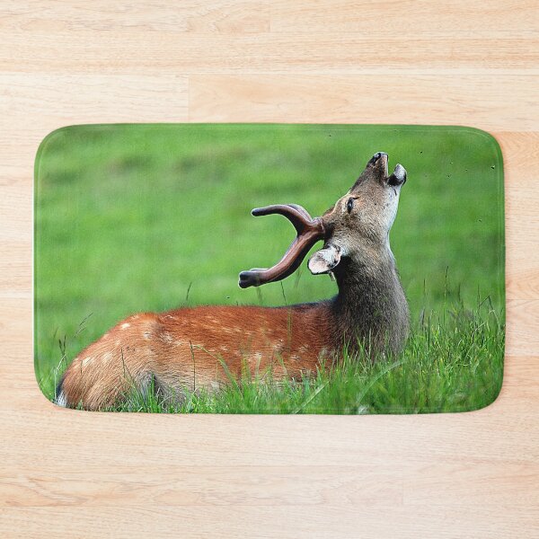 Item preview, Young Deer designed and sold by Denis Charmot.