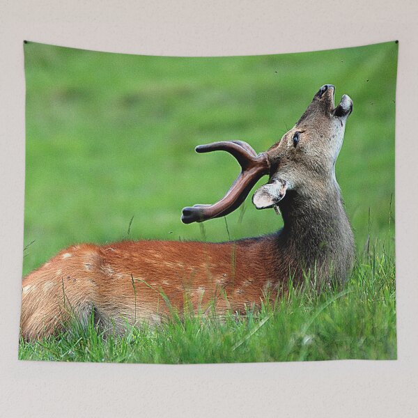 Item preview, Young Deer designed and sold by Denis Charmot.
