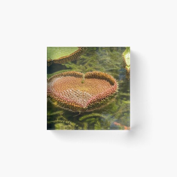 Item preview, heart designed and sold by reisefoto.