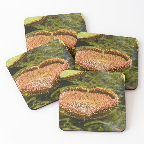 Item preview, heart designed and sold by reisefoto.