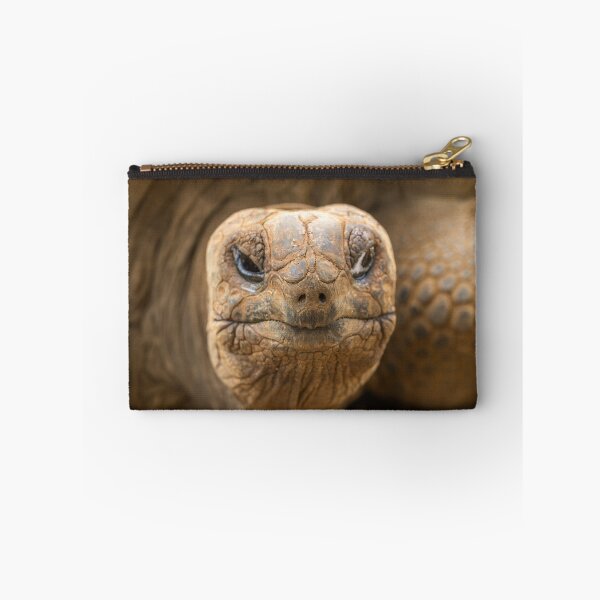 Artikelvorschau, Schildkröte entworfen und verkauft von reisefoto.
