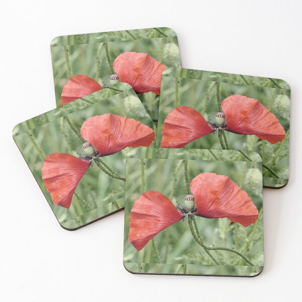 Item preview, r 2548/   1 "  Un Amour des Coquelicots " par Okaio Créations   Olavia&Olao designed and sold by o.okaïo.