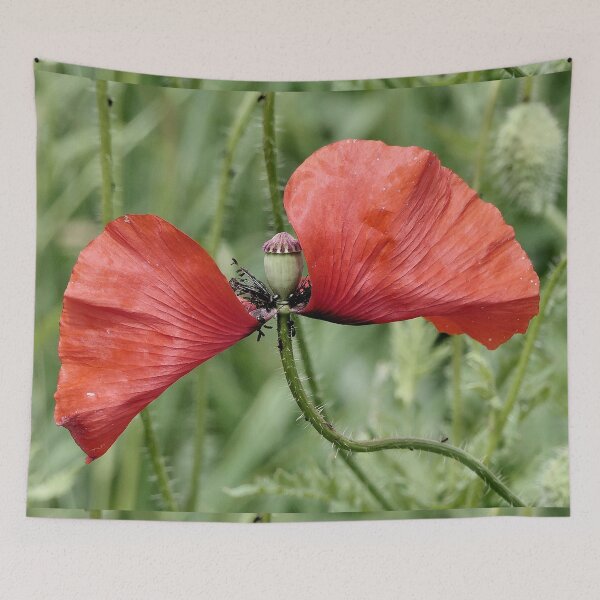 Item preview, r 2548/   1 "  Un Amour des Coquelicots " par Okaio Créations   Olavia&Olao designed and sold by o.okaïo.