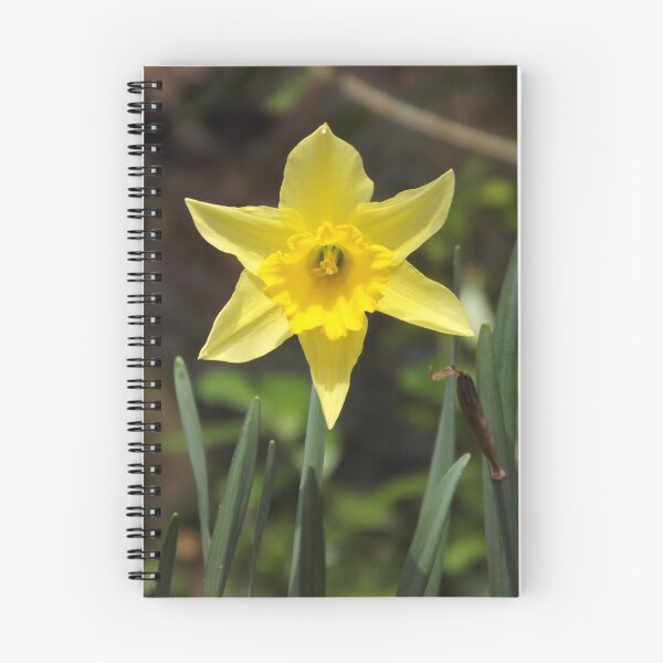 Item preview, Daffodil designed and sold by Joanne Babb.