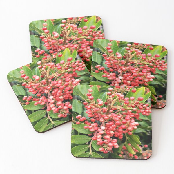 Item preview, Schinus Molle Falsa Pimienta Pimienta Rosa Naturaleza Foto Flowerlover Tierra designed and sold by ADAMYASS.