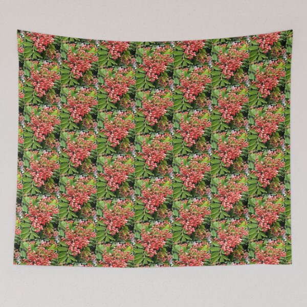 Item preview, Schinus Molle Falsa Pimienta Pimienta Rosa Naturaleza Foto Flowerlover Tierra designed and sold by ADAMYASS.