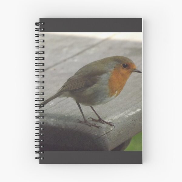 Item preview, Robin designed and sold by Joanne Babb.