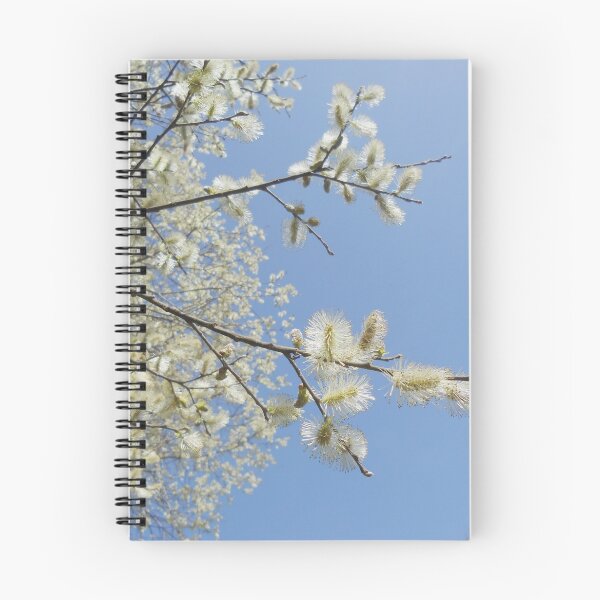 Item preview, Pussy willow blossom series - spring 2012 designed and sold by Penni.