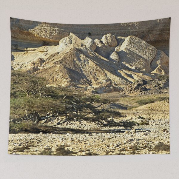 Item preview, Acacia Tree Rocky Desert landscape, Oman designed and sold by worldways.