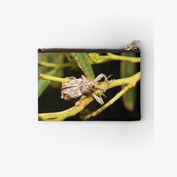 Item preview, Weevil beetle on a tree twig macro photo designed and sold by hendrikspix.