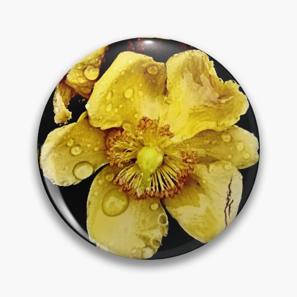Item preview, Hypericum Elstead Gold designed and sold by Hazel Meades.