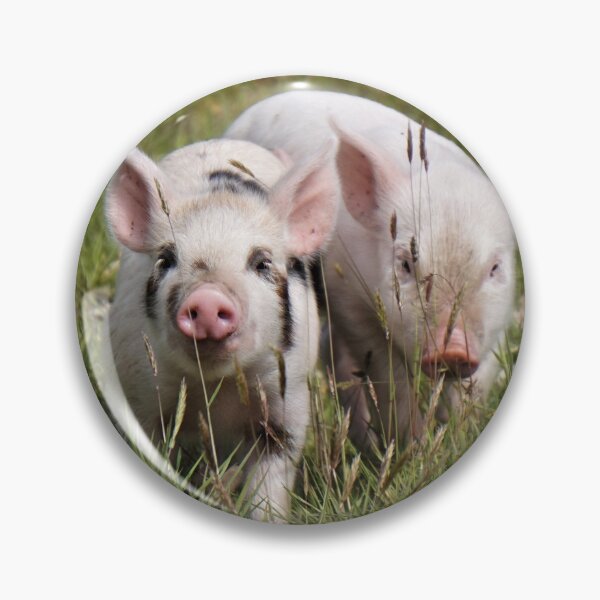 Item preview, Happy piglets designed and sold by PeterBarr.