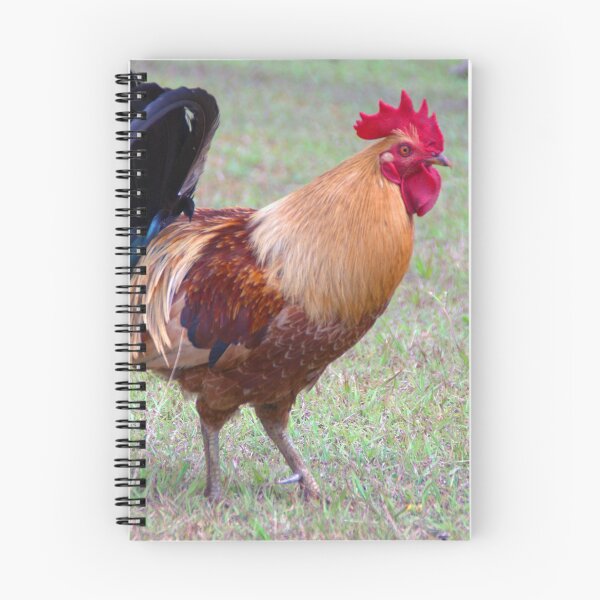 Item preview, Infamous Kauai Chicken designed and sold by Brian Harig.