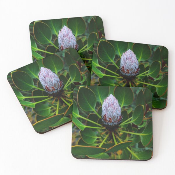 Item preview, Snow Protea Souther Africa Design designed and sold by Marguerite Faure.