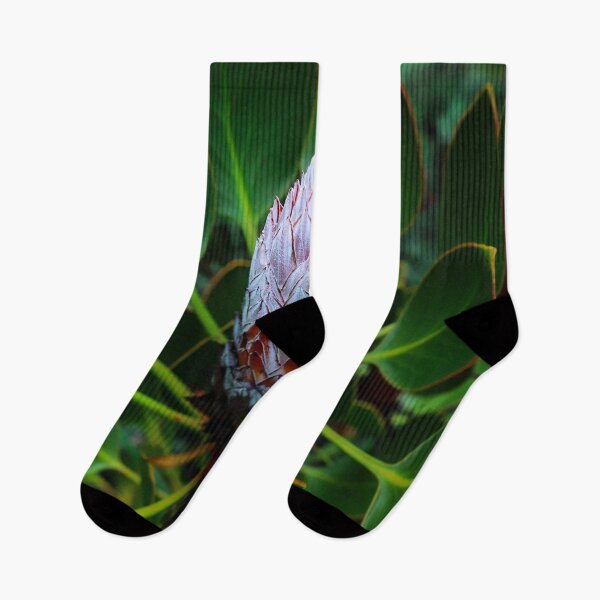 Item preview, Snow Protea Souther Africa Design designed and sold by Marguerite Faure.