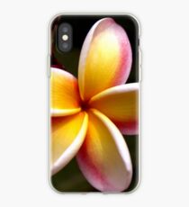 Pink and Yellow Plumeria iPhone Case