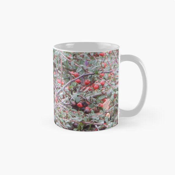 Item preview, Blackbird with berries designed and sold by Astrid de Cock.