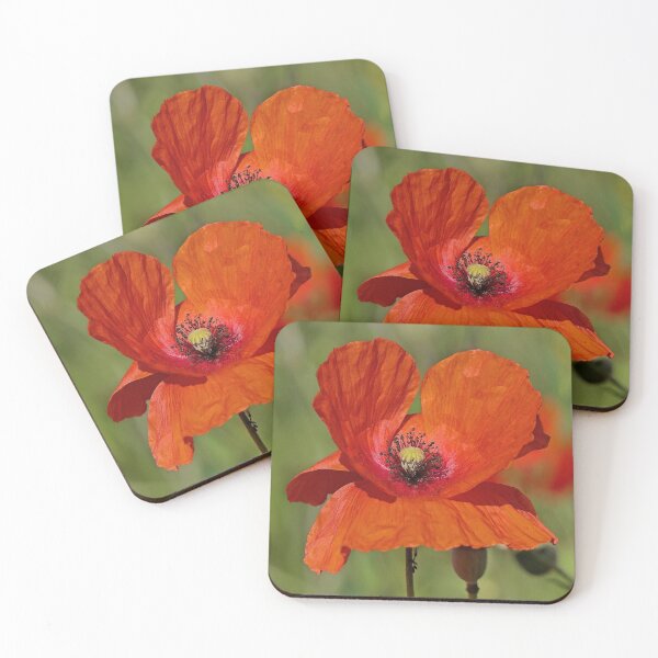 Item preview, r 2549/   2 "  les Oreilles du Coquelicots " par Okaio Créations   Olavia&Olao designed and sold by o.okaïo.
