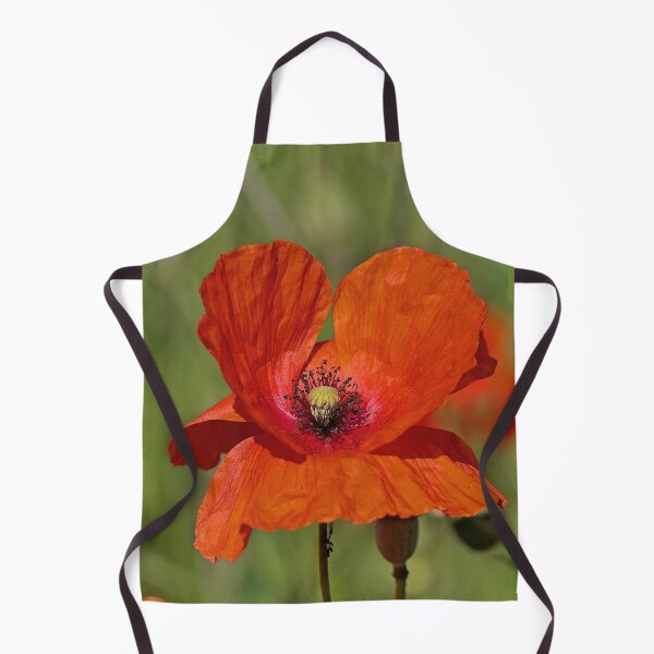 Item preview, r 2549/ 2 " les Oreilles du Coquelicots " par Okaio Créations Olavia&Olao designed and sold by o.okaïo.