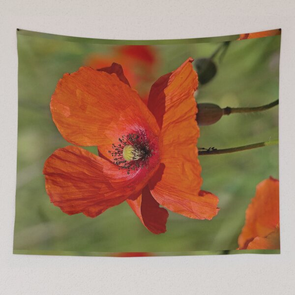 Item preview, r 2549/   2 "  les Oreilles du Coquelicots " par Okaio Créations   Olavia&Olao designed and sold by o.okaïo.