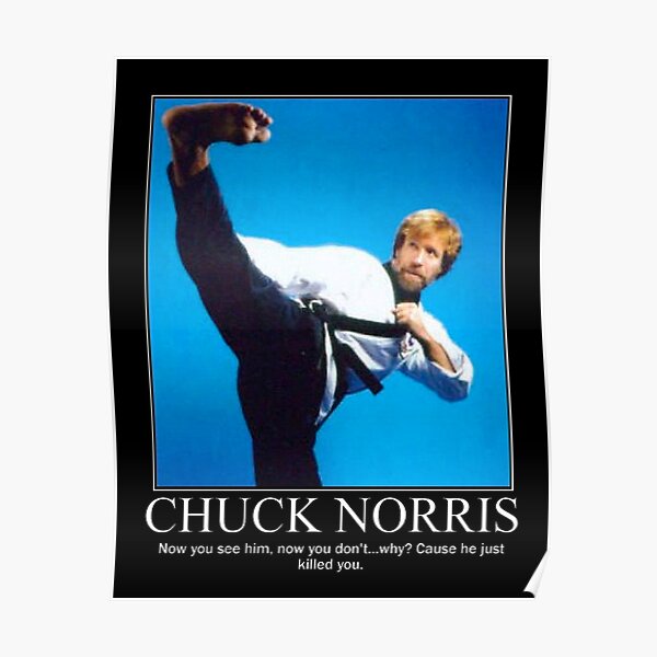 Chuck Norris Kick Poster