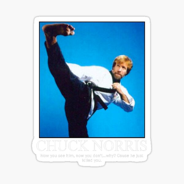 Chuck Norris Kick Sticker For Sale By ZeyEm Redbubble