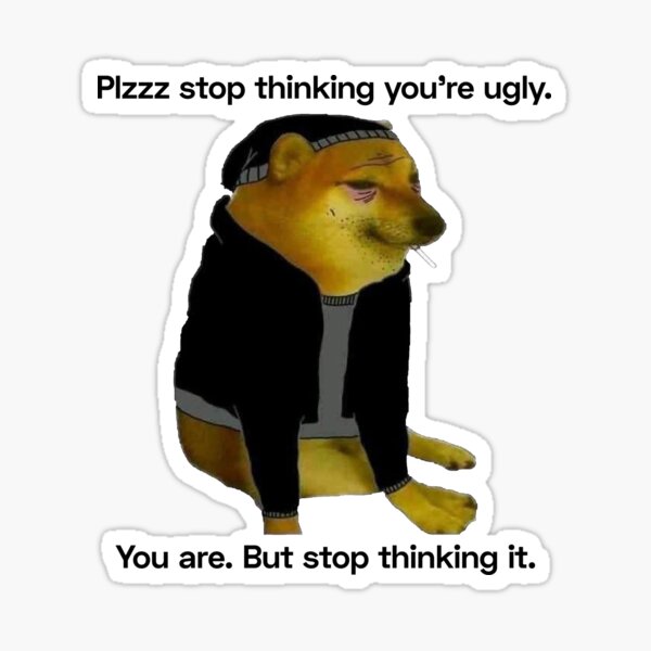 "Plzz stop thinking you're ugly. you are. But stop thinking it