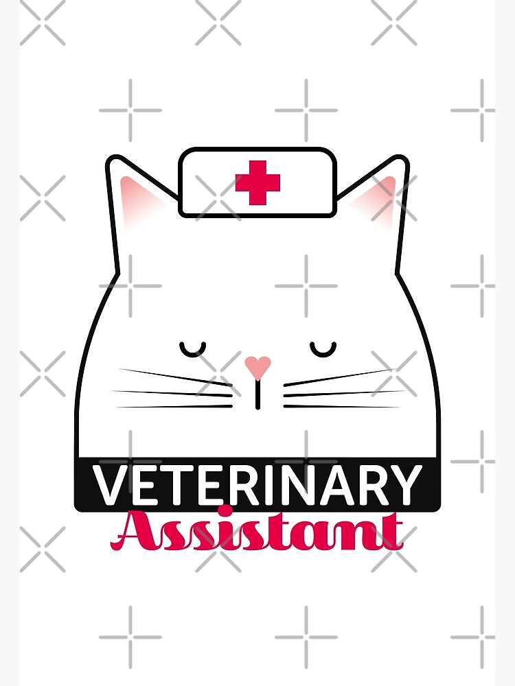 veterinary-assistant-poster-for-sale-by-eenig-redbubble