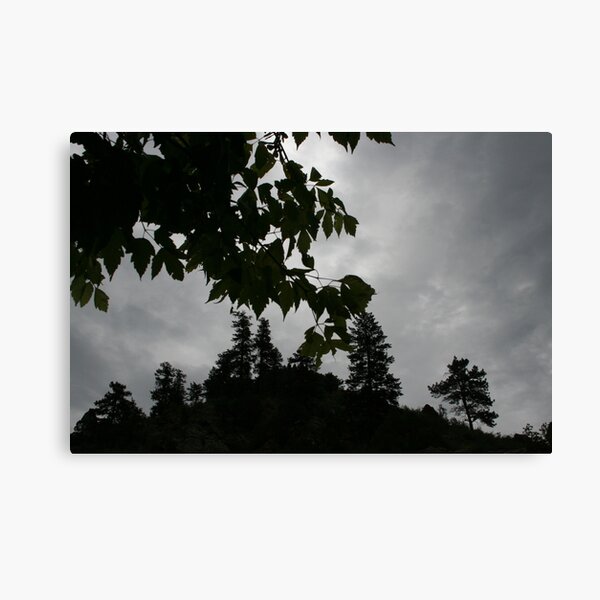 Nature Knows Canvas Print