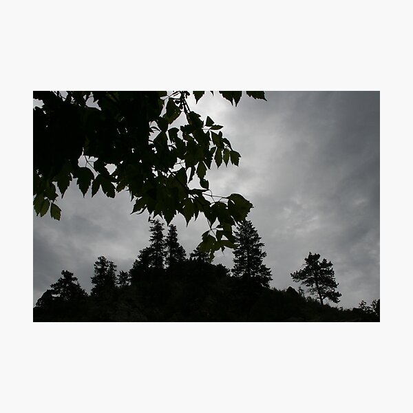 Nature Knows Photographic Print