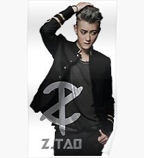Z.Tao Poster