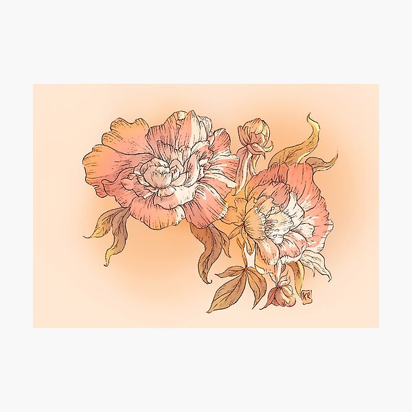 Item preview, Peonies designed and sold by Coeurdartichaud.