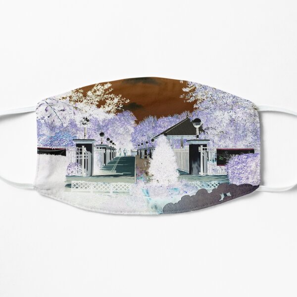 Winter Snow-II Florida WHITE background Flat Mask