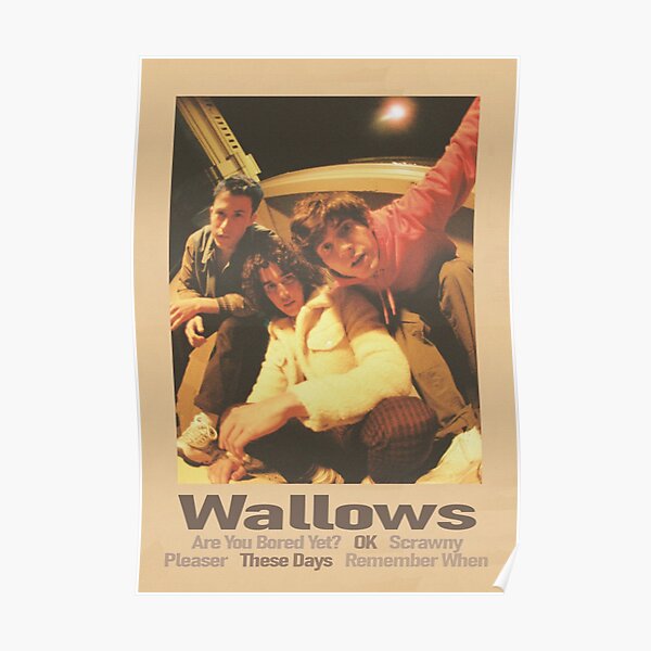 Wallows Poster