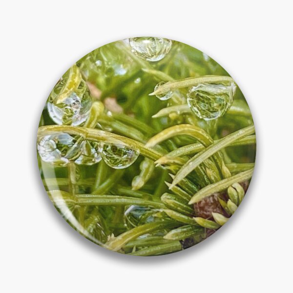 Item preview, PINE NEEDLES IN THE RAIN designed and sold by AskewViewArt.