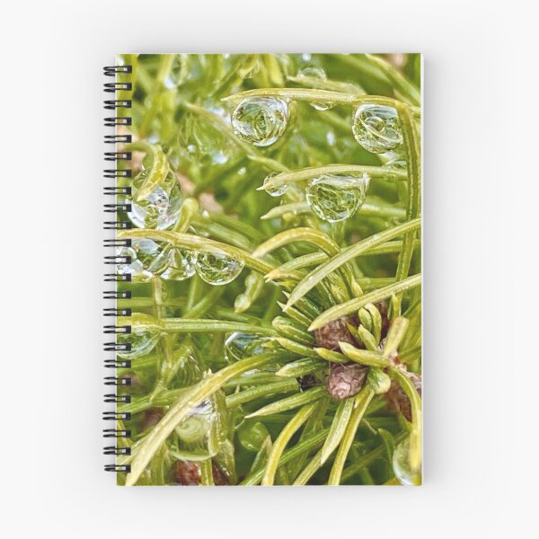 Item preview, PINE NEEDLES IN THE RAIN designed and sold by AskewViewArt.