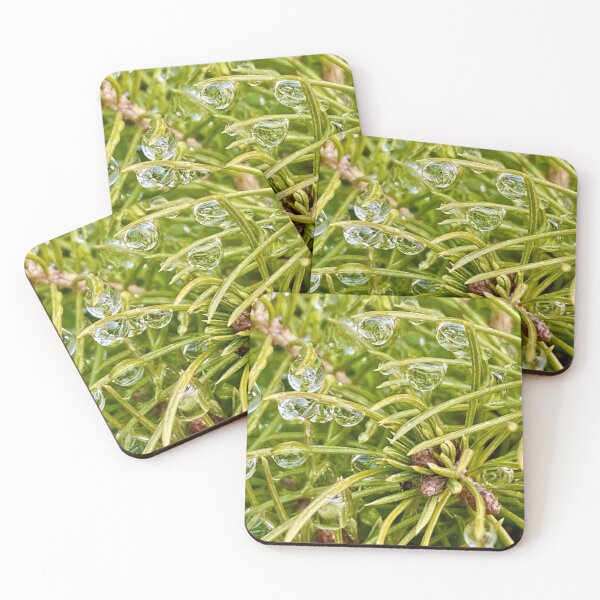 Item preview, PINE NEEDLES IN THE RAIN designed and sold by AskewViewArt.