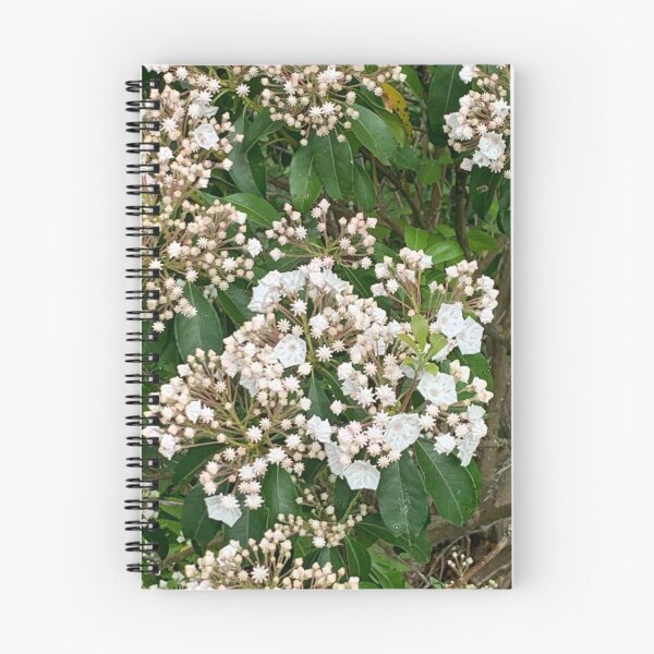 Item preview, Mountain Laurel Bush designed and sold by Heather Neilson.