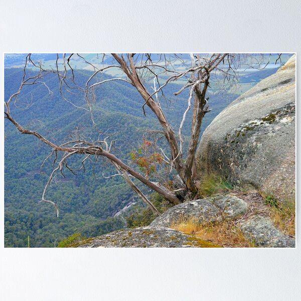 Item preview, Gum and Granite designed and sold by Harry Oldmeadow.