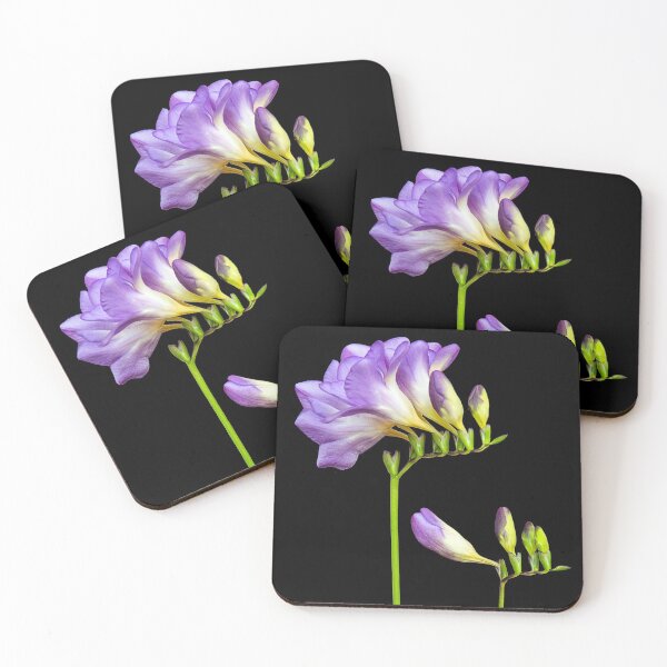 Item preview, Freesia flower on a black background designed and sold by Nicomaja.